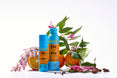 The Mimikai Insect Bundle